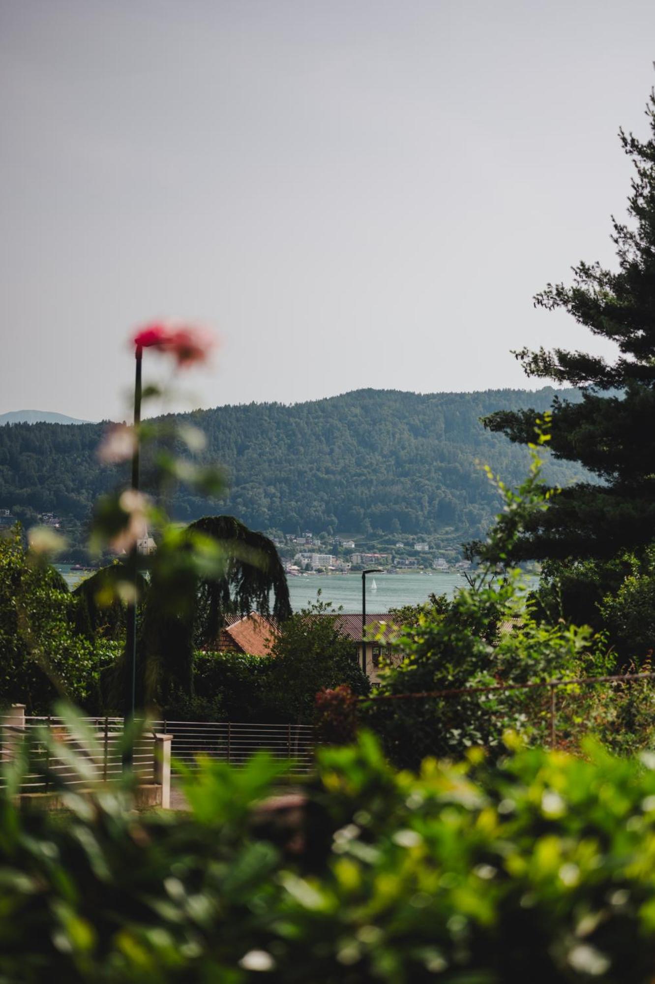 Labsalerie - Urlauben Am Woerthersee Appartement Pörtschach am Wörthersee